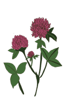 Pottery doodle illustration